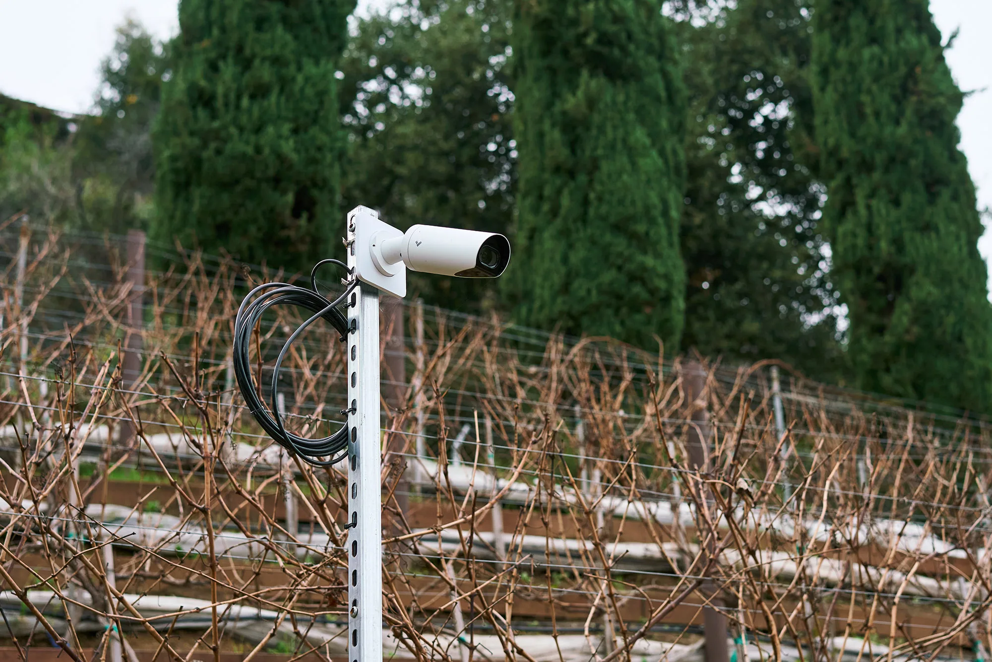 Verkada Surveillance