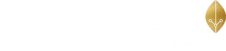 Malibu Wired Inc.