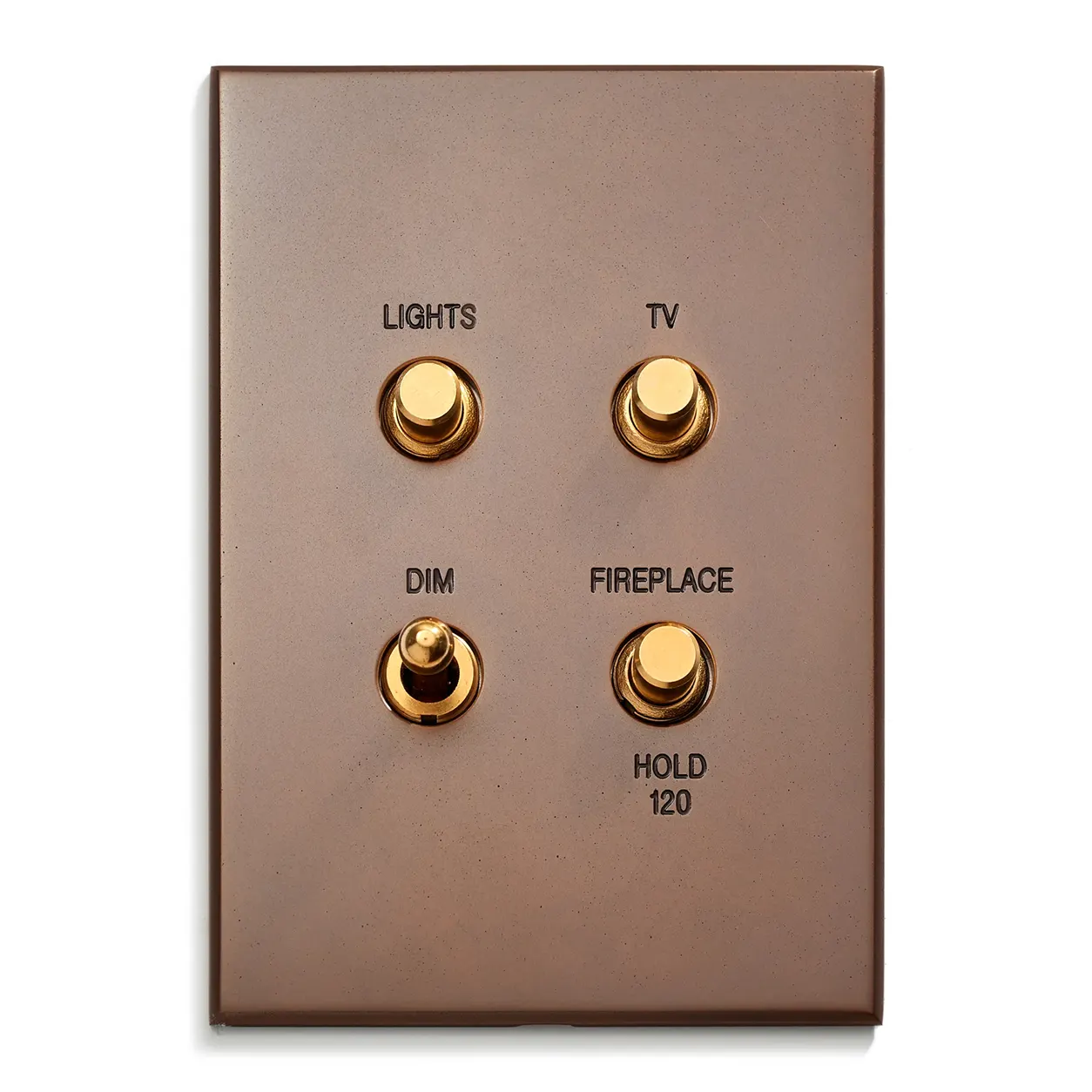 Brown wall-mounted control plate with four gold push buttons labeled Lights, TV, Dim, Fireplace; Hold 120 text at bottom.